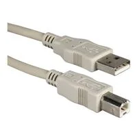 QVS USB 2.0 (Type-A) Male to USB 2.0 (Type-B) Male Cable 3 ft. - Beige