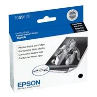 Epson R2400 Photo Black Ink Cartridge