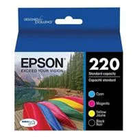 Epson 220 Black and Color Ink Cartridge Combo Pack