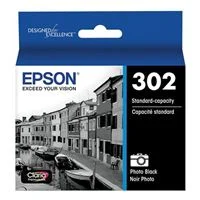 Epson 302 Standard Photo Black Ink Cartridge